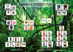 . Animaux terrestres