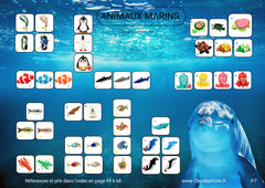 . Animaux marins