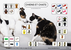 . Chiens et Chats