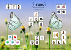 . Fleurs