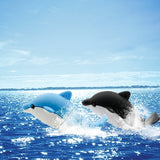 Clé usb Dauphins