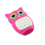 Clé usb Chouette couleur