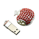 Clé usb Pomme brillante