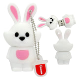 Clé usb Signes Astrologique chinois