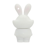 Clé usb Signe astrologique chinois lapin