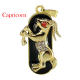 Clé usb Signe astrologique capricorne