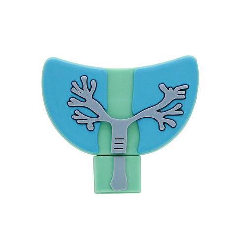 Clé usb Poumons